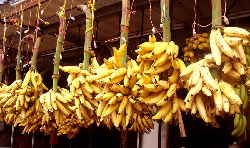 ഏത്തക്കായ തൊട്ടാലും കൈ പൊള്ളും