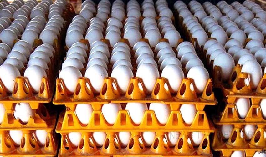 മുട്ട വില കുതിക്കുന്നു