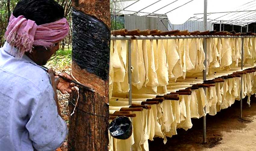 റബര്‍ വില കുറയുന്നു