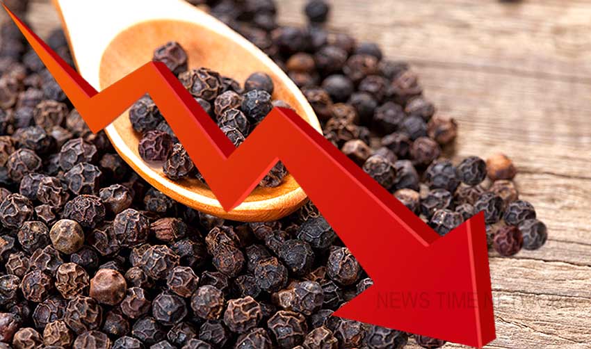 കുരുമുളകിന് വിലത്തകര്ച്ച