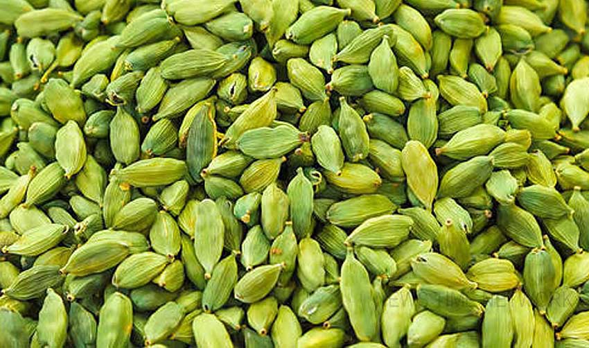 ഏലക്കക്ക് റെക്കോര്ഡ് വില