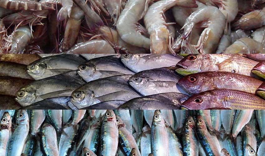 മത്സ്യ ലേലവും വിപണനവും നിയന്ത്രിക്കാന് നിയമം