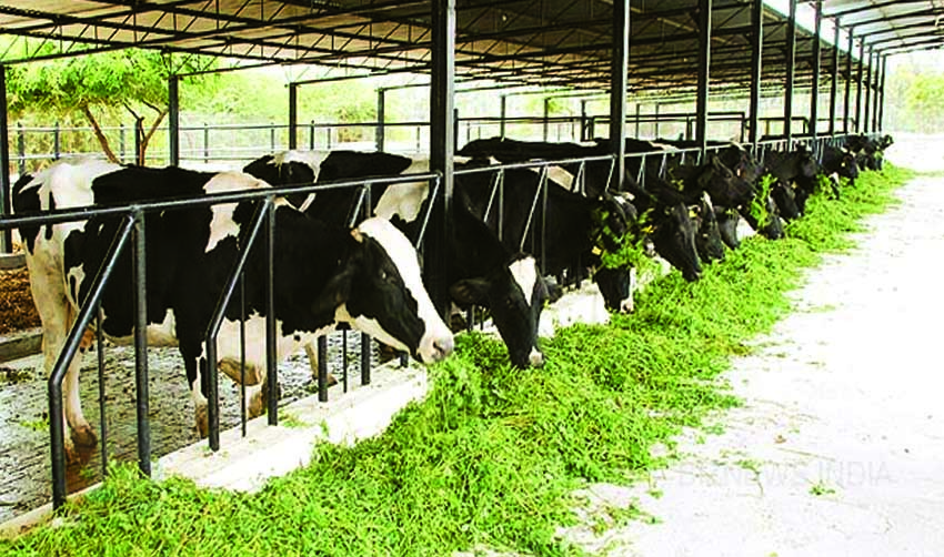 ക്ഷീരകര്ഷകര്ക്കായി സര്കാര് പദ്ധതി ആരംഭിച്ചു