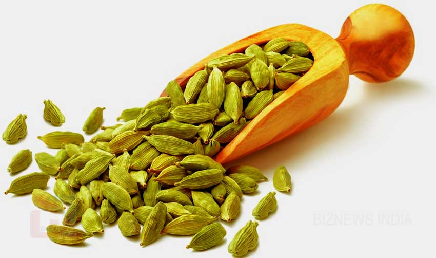 ഏലക്കാ വില വീണ്ടും ഉയരത്തില്‍