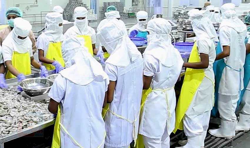 ഇന്ത്യന്‍ സമുദ്ര ഭക്ഷ്യവിഭവങ്ങള്‍ക്ക് ചൈനയില്‍ ആവശ്യക്കാരേറെ