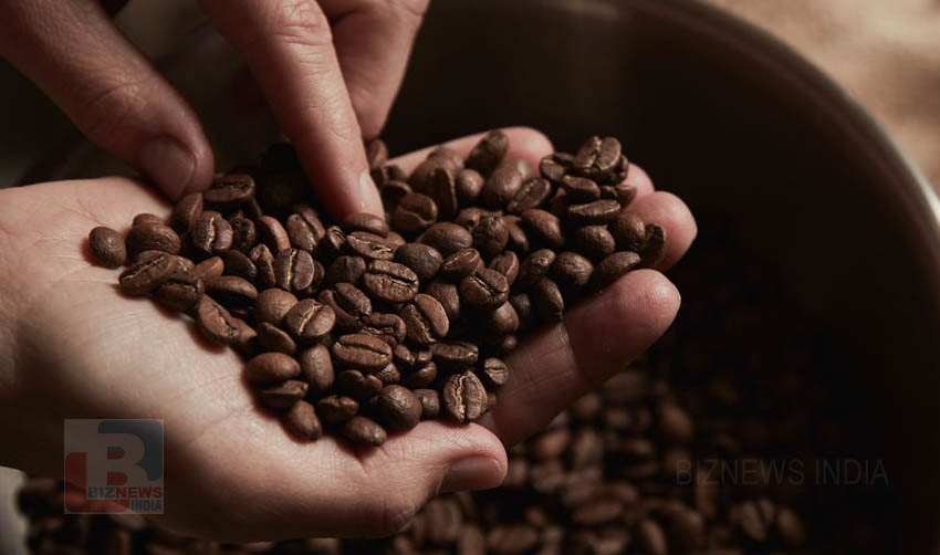 കാപ്പി വില കുതിക്കുന്നു; കര്‍ഷകര്‍ ആഹ്ലാദത്തില്‍