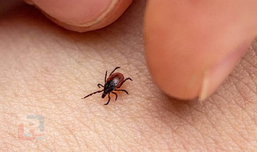 ചെള്ളുപനി; പ്രതിരോധം ശക്തമാക്കി ആരോഗ്യ വകുപ്പ്