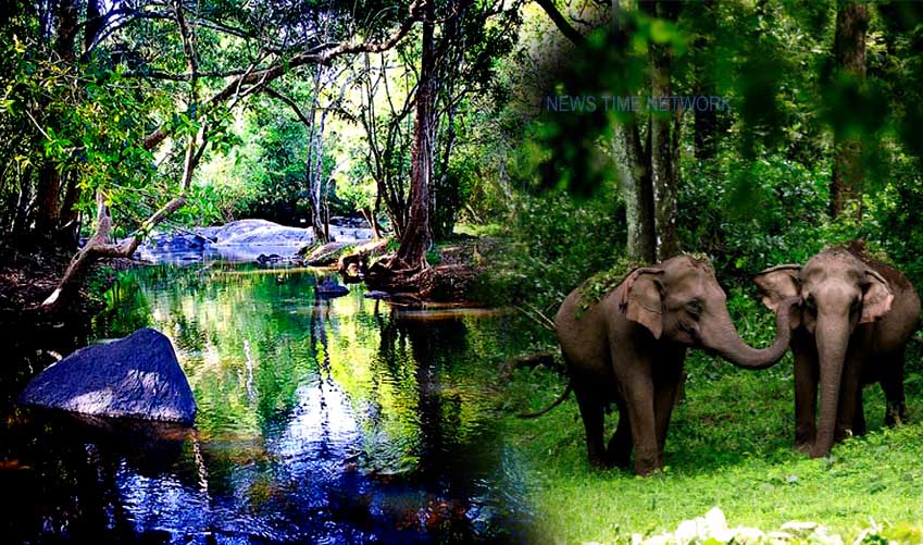 വയനാട്ടില്‍ മാസ്റ്റര്‍ ടൂറിസം പദ്ധതി