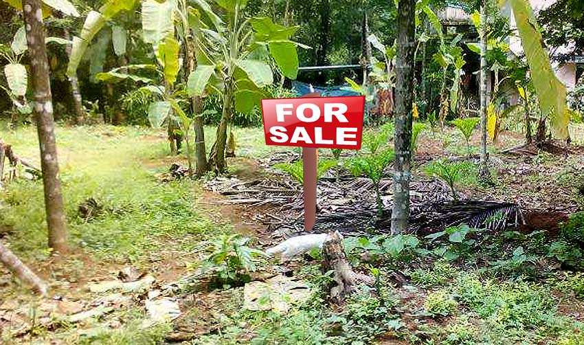 കണ്ണൂരില്‍ സ്ഥലം വില്‍പ്പനക്ക്