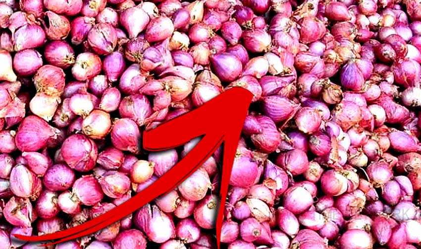 തൊട്ടാല്‍ പൊള്ളും ഉള്ളി വില