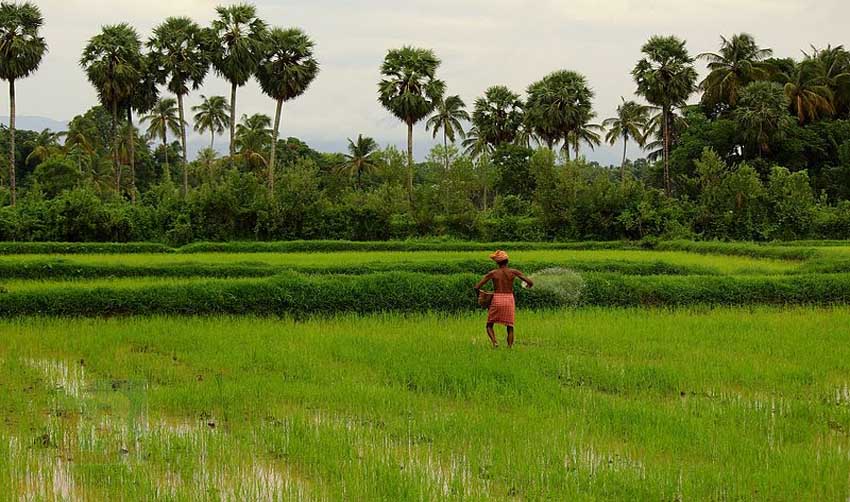 കര്‍ഷകര്‍ക്ക് ഏക്കറിന് 10,000 രൂപ സബ്‌സിഡി