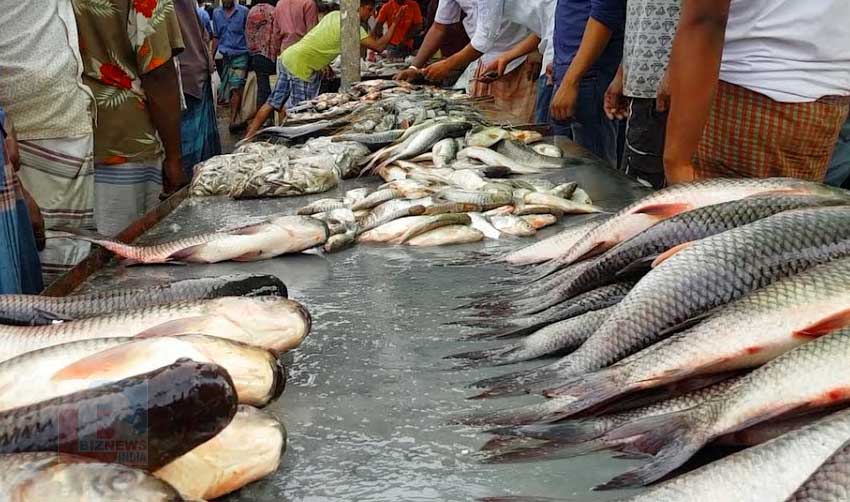 തീവില; മീന്‍ കച്ചവടം പ്രതിസന്ധിയില്‍