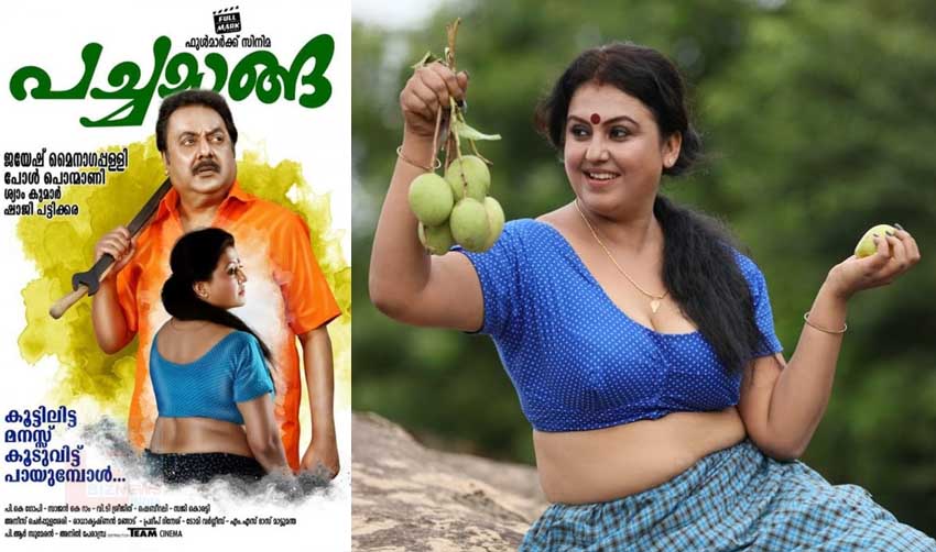 സഭ്യതയുടെ പരിധി ലംഘിച്ചിട്ടില്ല